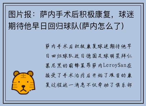 图片报：萨内手术后积极康复，球迷期待他早日回归球队(萨内怎么了)