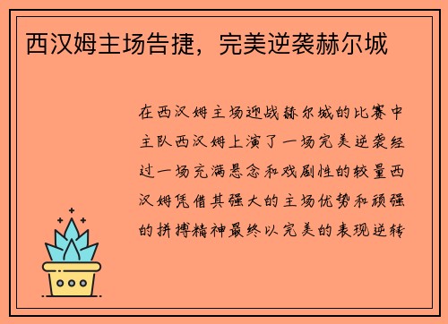 西汉姆主场告捷，完美逆袭赫尔城